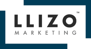 Llizo logo