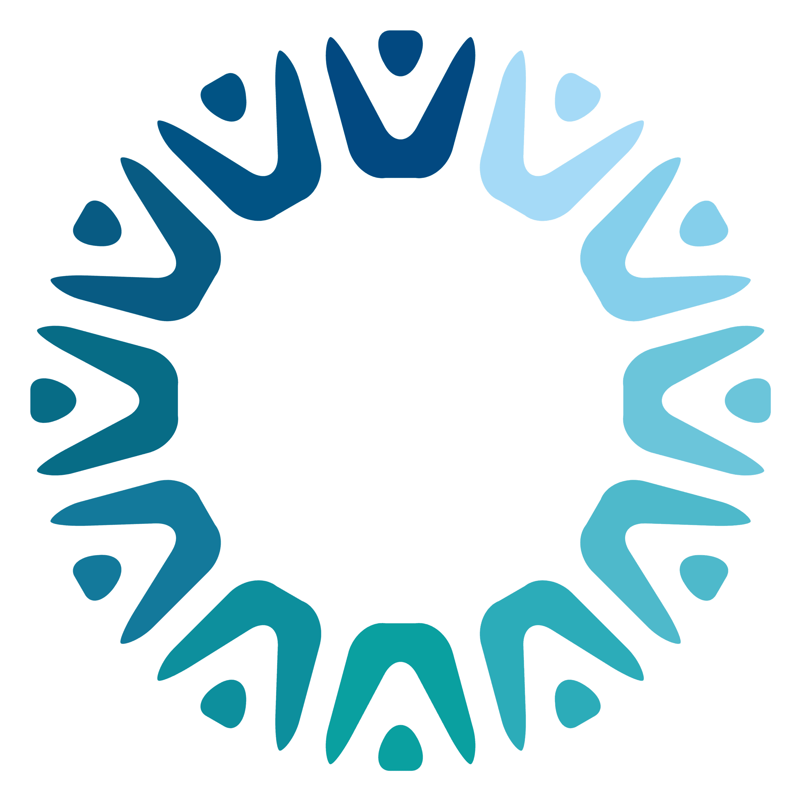 Twelvenets logo