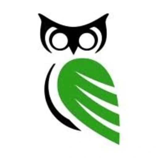 WISE Digital Partners logo