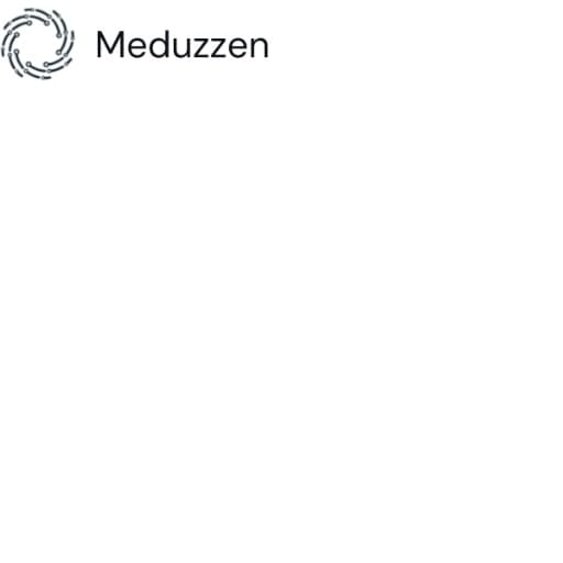 Meduzzen logo