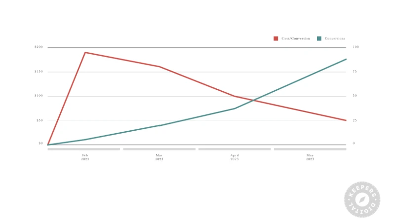 Google Ads Management for Global D2C SaaS Company — image 4