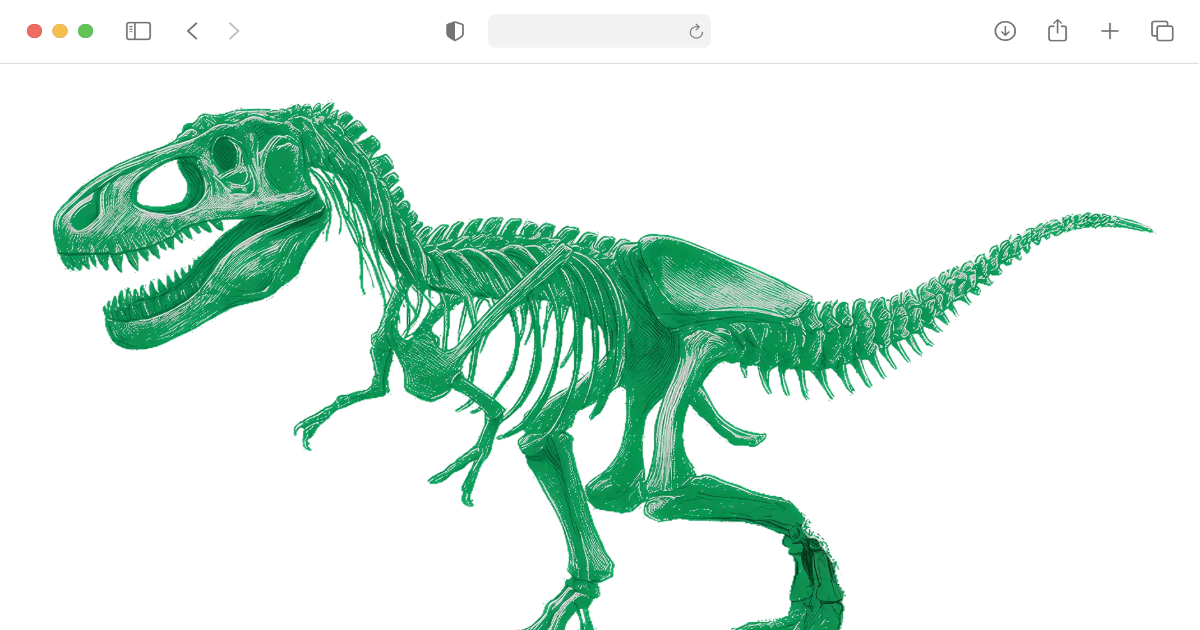 Designing for Discovery: Q&A on Digital Strategy, UX, and Website Transformation at The Field Museum