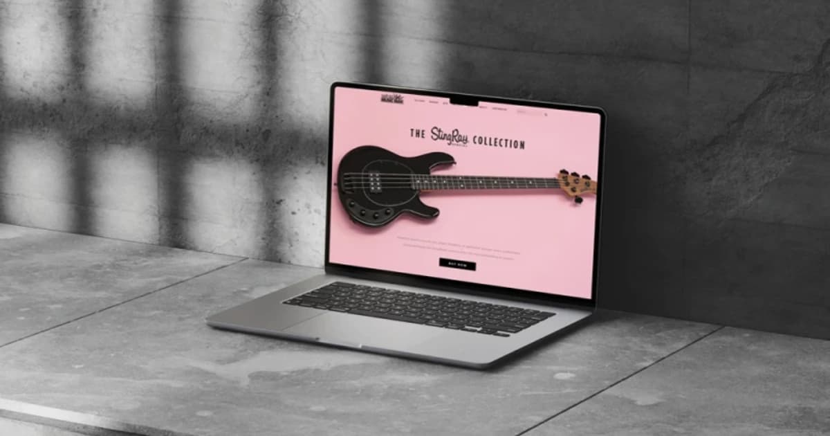 Ernie Ball Web Design & Experience