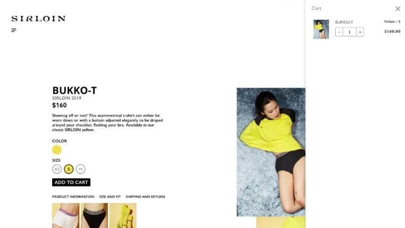 Sirloin Website — image 3