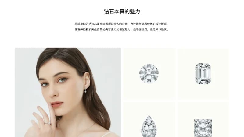 Z Diamond Website — image 1