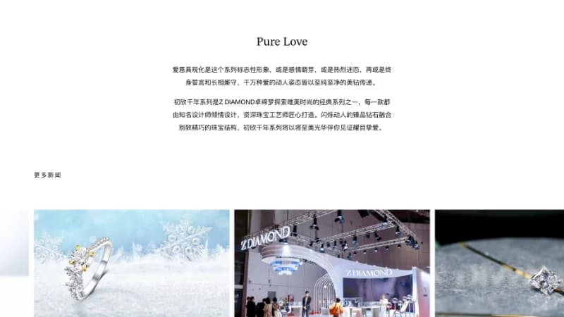 Z Diamond Website — image 5