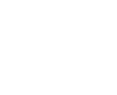 Big Marlin Group logo